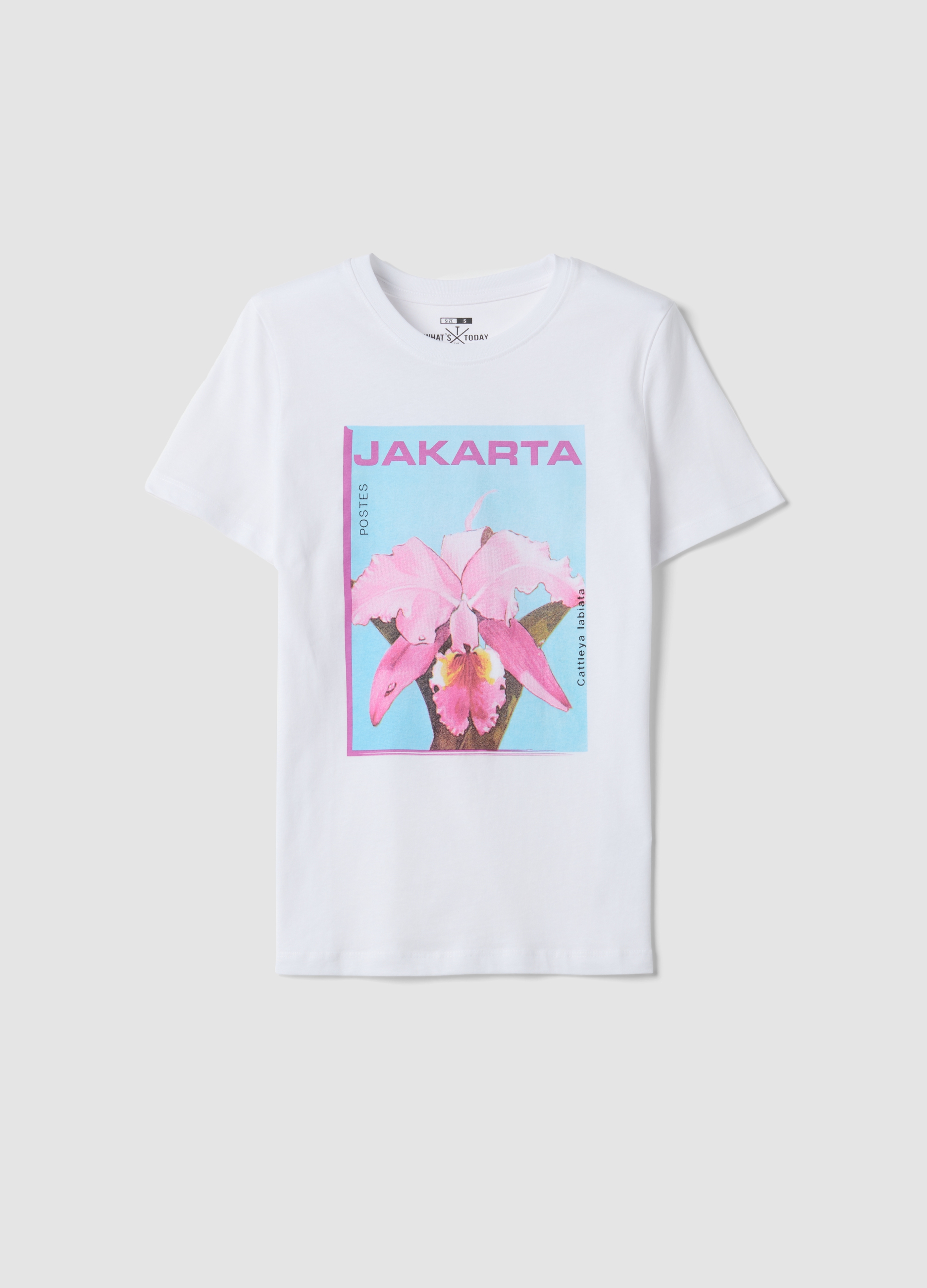 T-shirt Bianca In Puro Cotone Con Stampa Frontale, Mujer, Blanco, Talla: 42