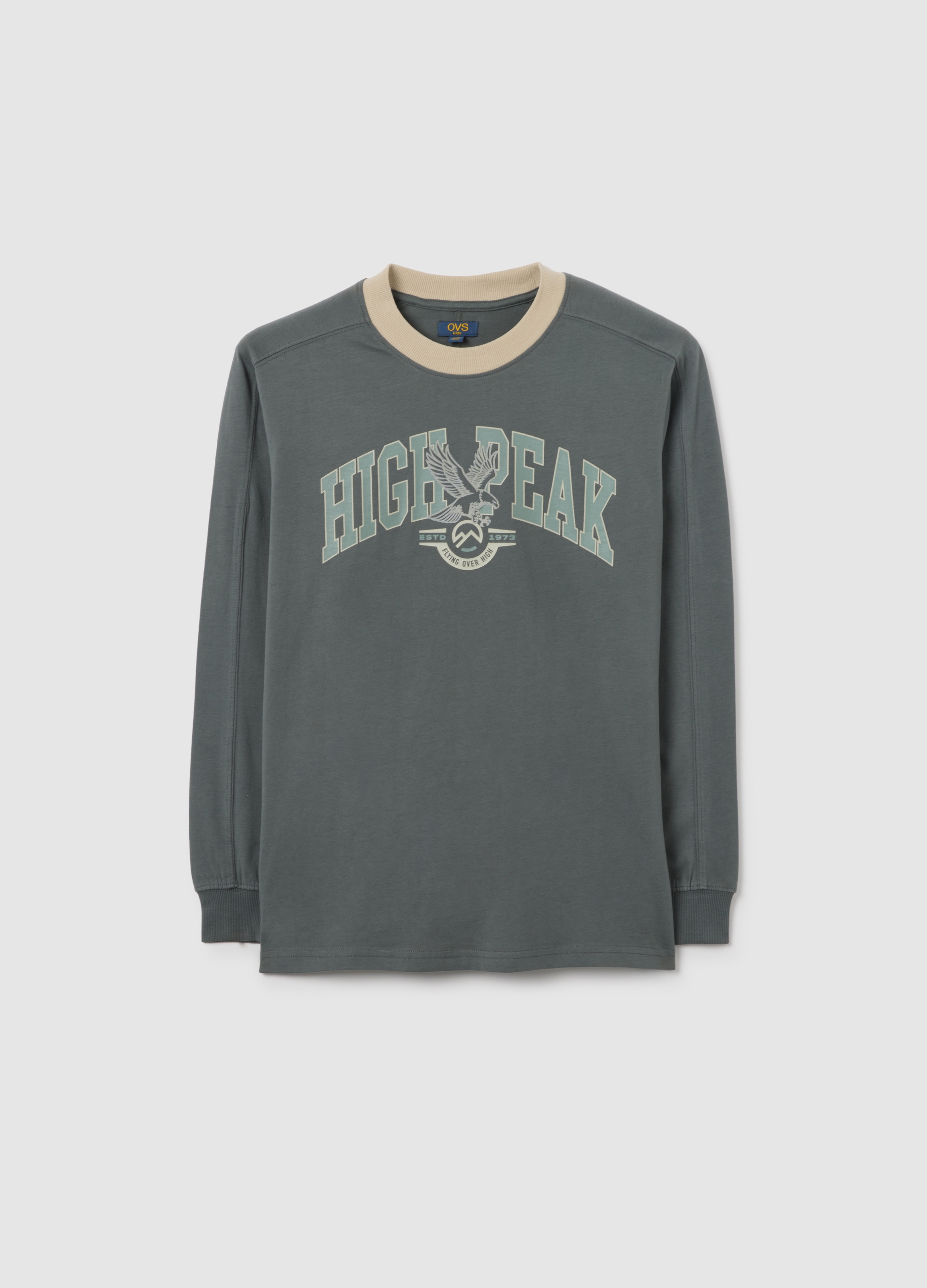 OVS KIDS, Camiseta Gris De Manga Larga, Niño, Gris, Talla: 13-14