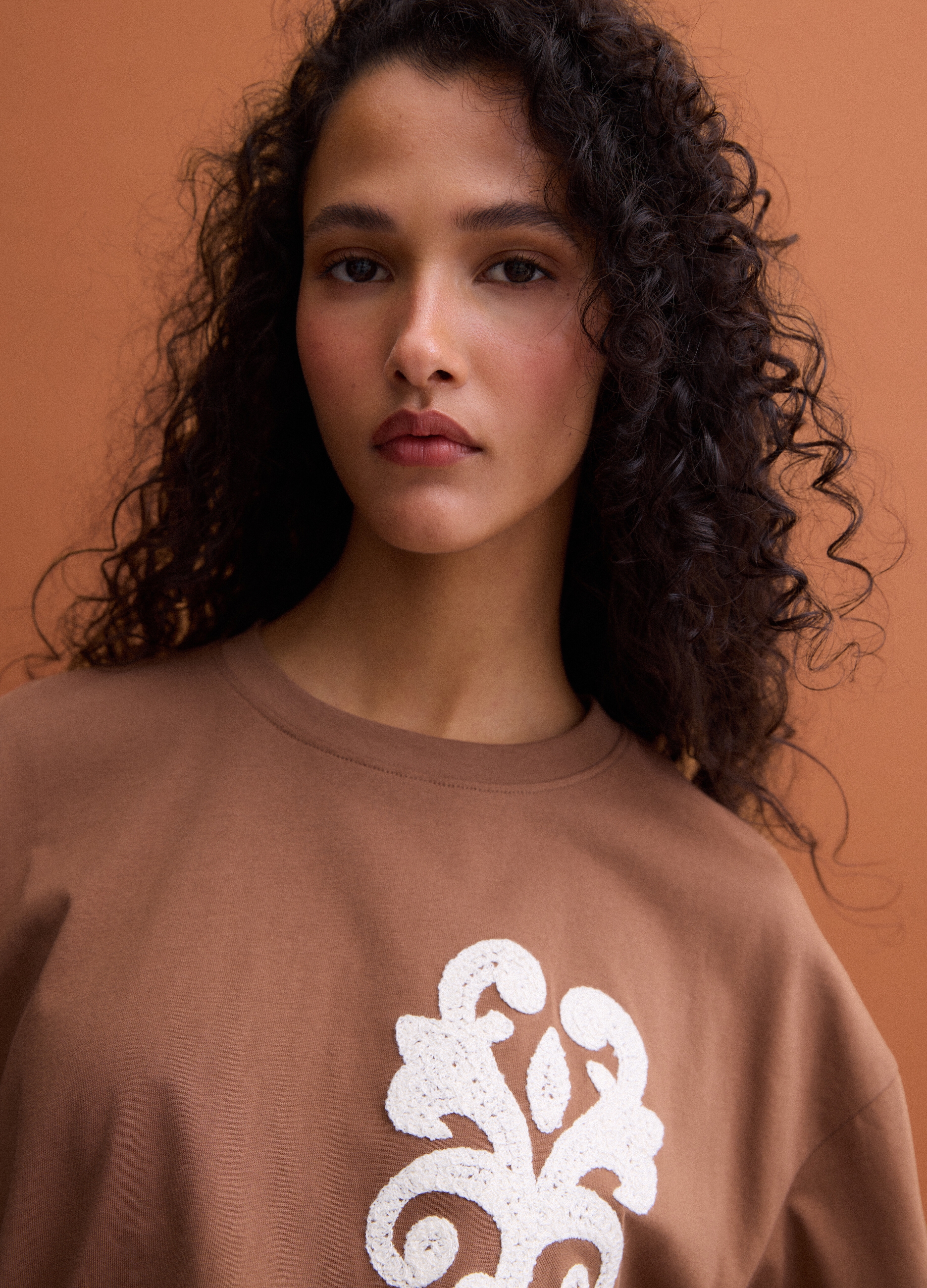 PIOMBO, T-shirt Marrone In Puro Cotone Con Ricami Regular Fit, Donna, Marrone, Taglia: M