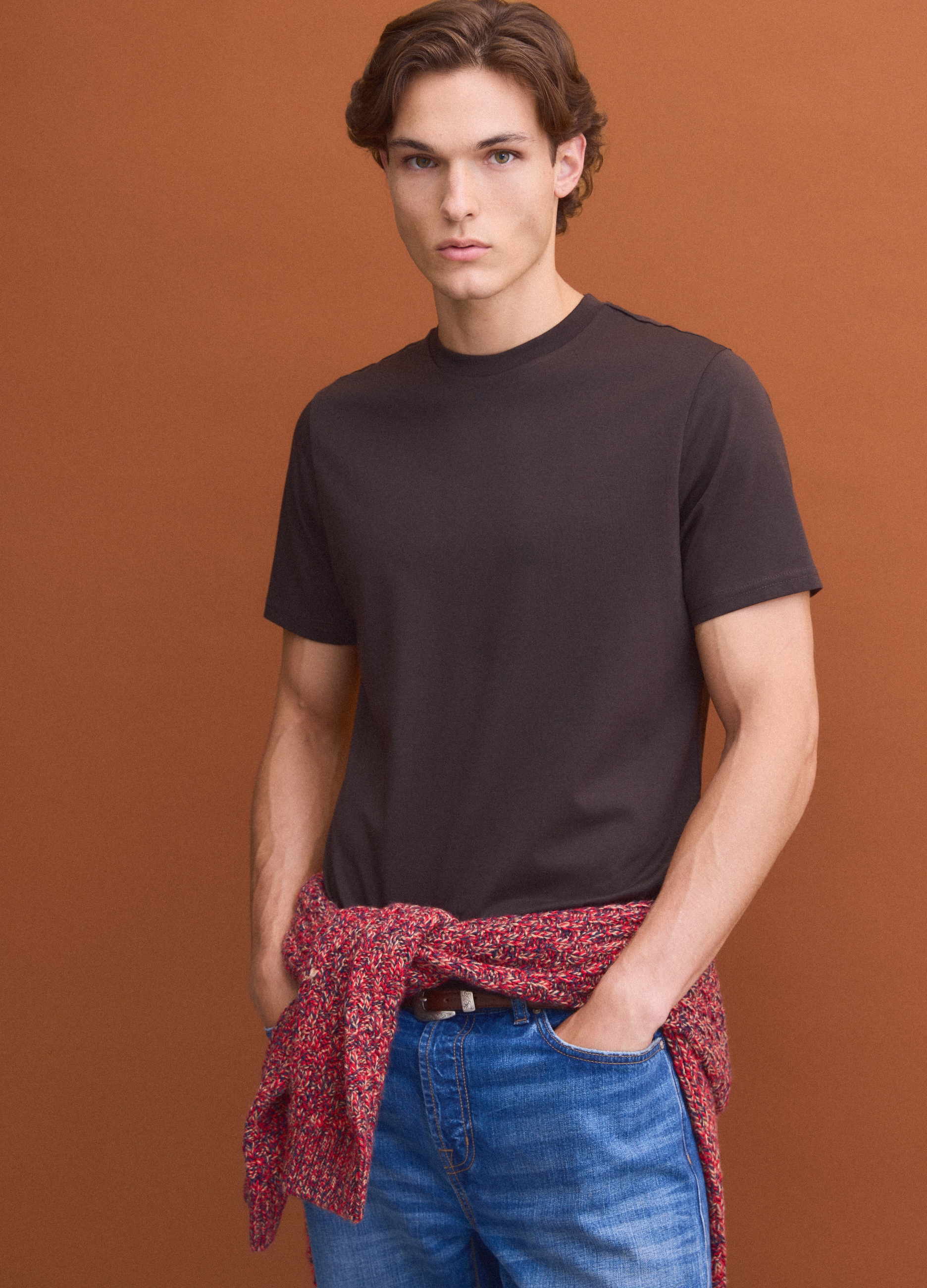PIOMBO, T-shirt Girocollo Marrone In Puro Cotone Supima Regular Fit, Uomo, Marrone, Taglia: M
