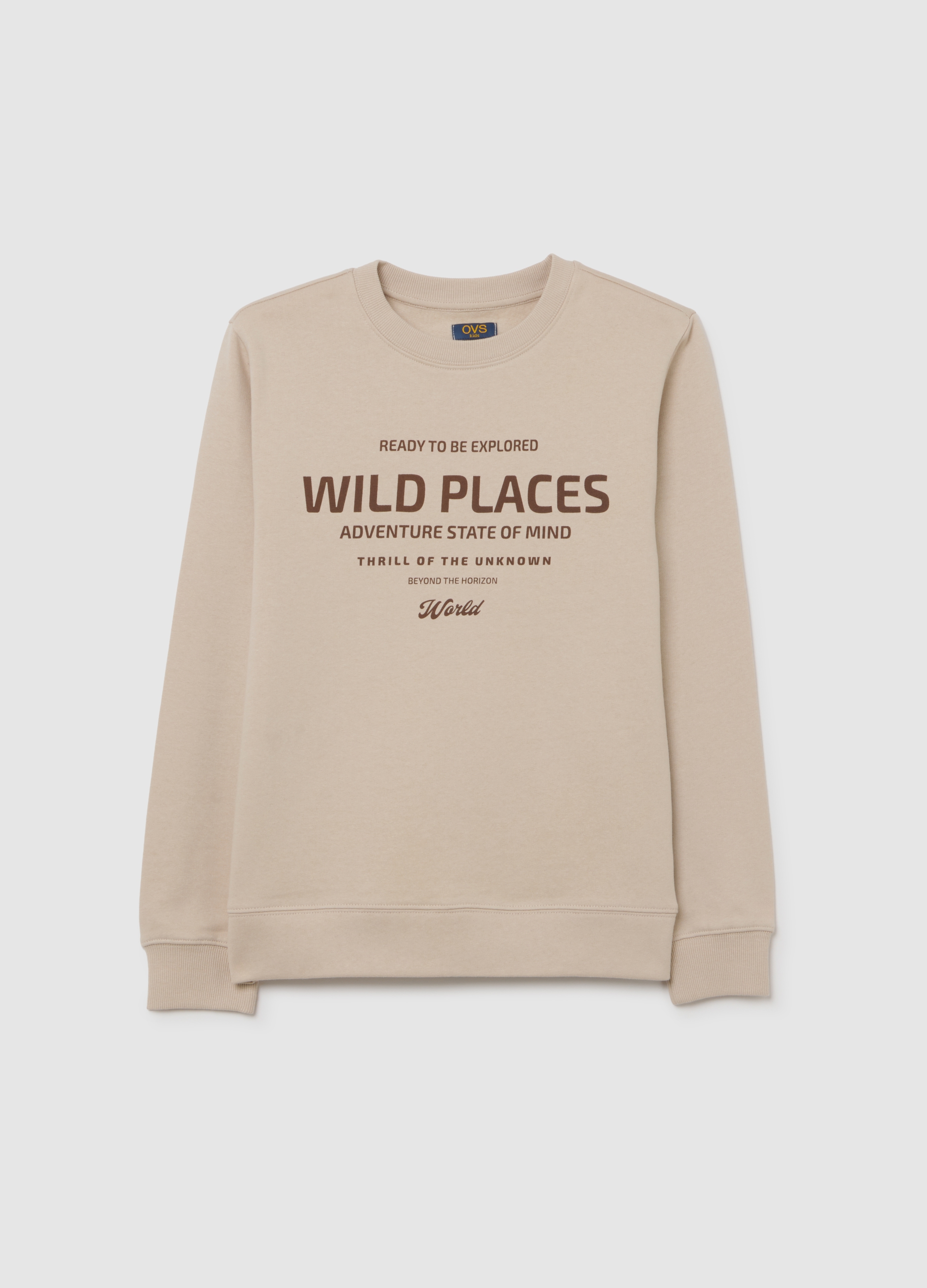 OVS KIDS, Sudadera De Niño De Algodón Puro Beige Con Ajuste Regular Y Cuello Redondo, Niño, Beige Jaspeado, Talla: 13-14