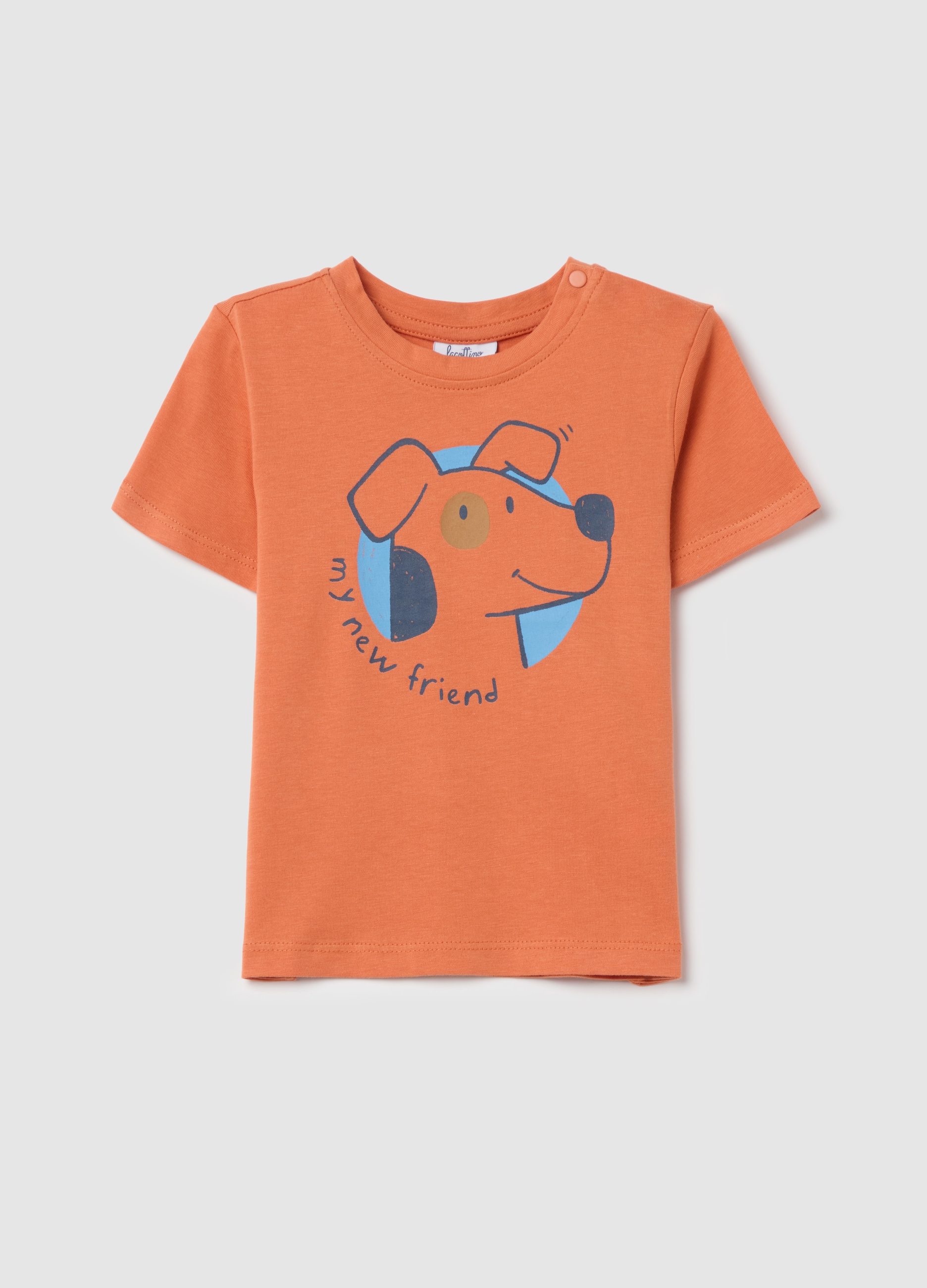 FAGOTTINO, T-shirt In Cotone Stampa Cagnolino my New Friend, Bambino, Arancione, Taglia: 9-12