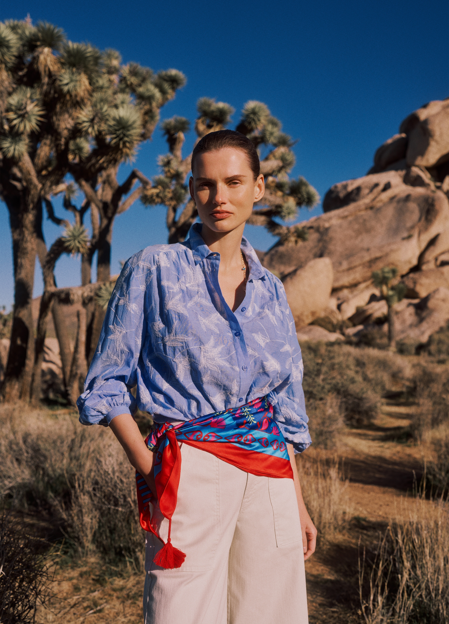 PIOMBO, Camisa Multicolor De Algodón Puro Regular Fit Con Estampado, Mujer, Blanco/azul claro, Talla: 42